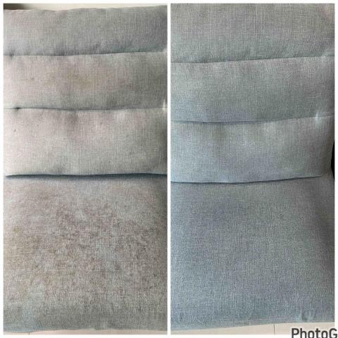 小蔡ㄟ技術清潔工作室（水洗沙發、床墊） - 很可怕的髒污，這些都會造成家裡小孩及毛小孩的危害，一定要請專業來處理