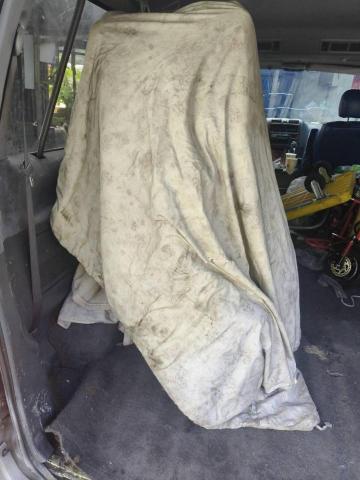 綠沐國際行銷策劃有限公司 - 