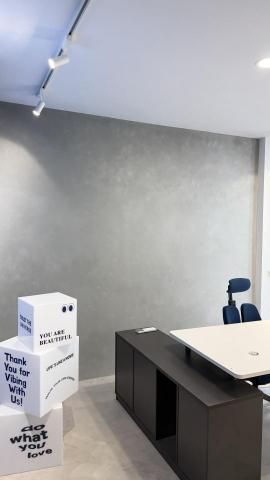 塗鴨子藝術塗料工程 - 