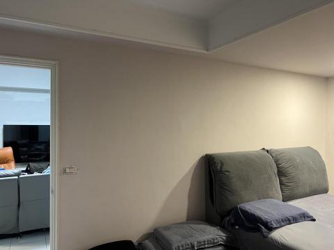 小李 - 室內油漆摩登奢侈灰