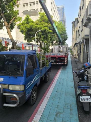 森澤企業社 - 高雄醫學院路樹修剪
