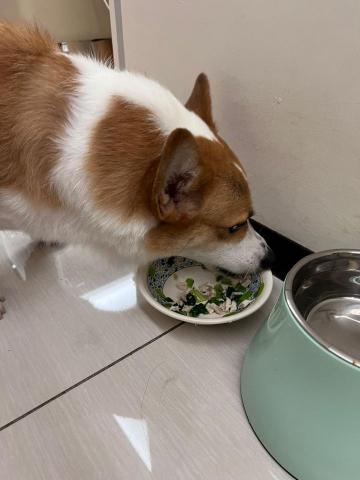 Jean-拉拉姐姐 - 來ㄘ個營養均衡餐✨