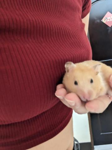 Jean-拉拉姐姐 - 姐姐說要看鏡頭！