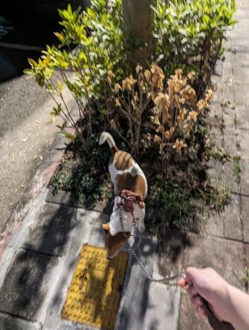 Jean-拉拉姐姐 - 臨時起意？沒問題！拉拉姐姐準備好了！