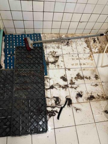 小資家適 - 浴室清潔前