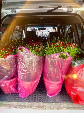 彭啓銘 - 庭園佈展