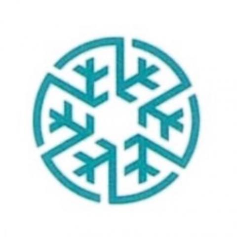 提供canva商用ptt服務的專家陳文彬