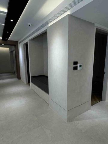 威棩 - 塗料樣式