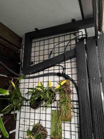 易樂企業社 - 主幹管分支管灑水（可彎折調整）