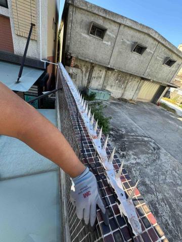 阿賢 - 安裝不鏽防爬刺釘114-11-15沙鹿