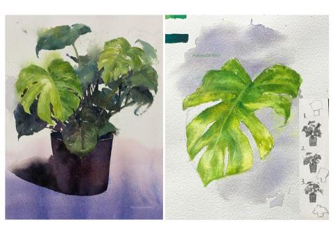 Han studio  邱柏翰 - 植物水彩課程｜從結構觀察到透明層疊

課程重點：
✔ 植物造型觀察與構圖
✔ 層次暈染與冷暖色調控制
✔ 光影層次的塑造
✔ 自然筆觸與留白運用

學完後能夠獨立完成像這樣的室內植物水彩畫，
歡迎私訊預約水彩課，一起讓紙上的植物動起來!