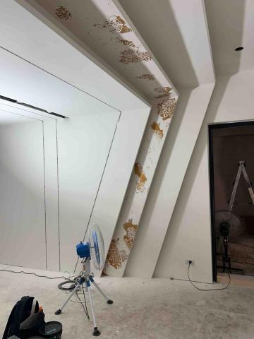 威棩 - 塗料樣式