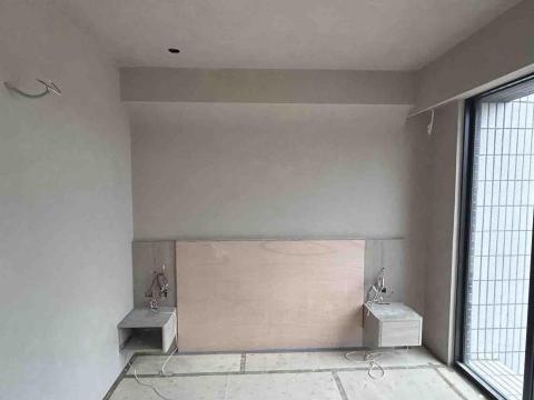 威棩 - 塗料樣式