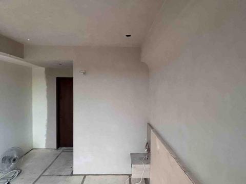 威棩 -  塗料樣式