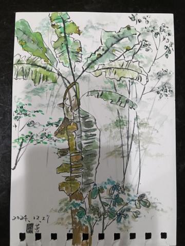 手繪工作室-玉芳陳 - 作品：景物畫-
手工繪畫-水彩
13.5*19.5cm