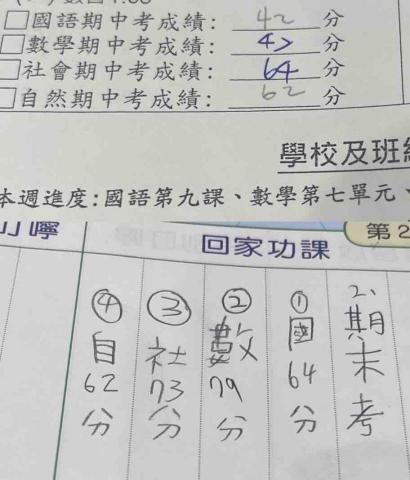 楊乃謙 - 國小全科