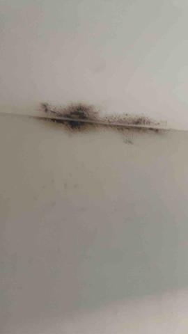 鼎鑫統包急修工程 - 