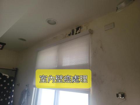 嵐玥工程 - 壁癌