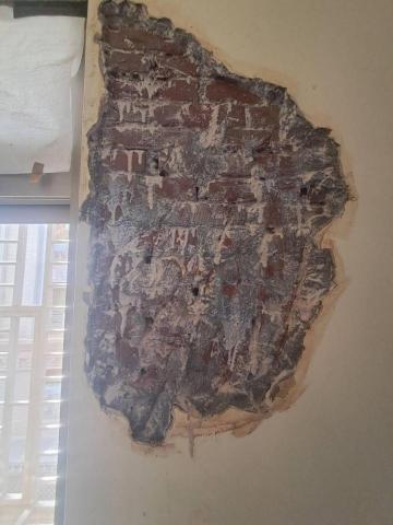 嵐玥工程 - 壁癌