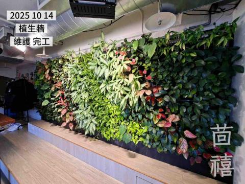 茴禧花坊 - 植生牆/園藝維護