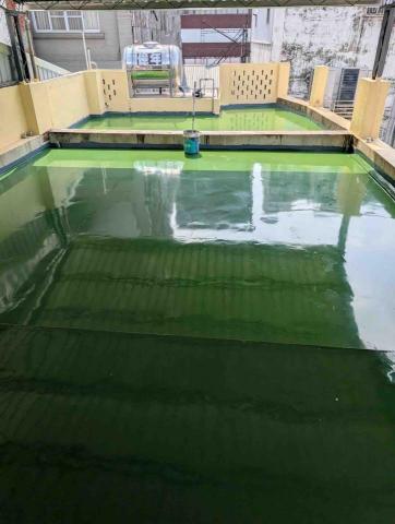 浩陽防水油漆工程 - Pu 底氣 第二層