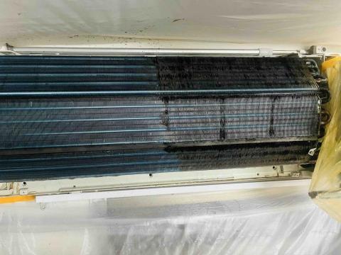 陳信欽 - 左右為清洗前後比較