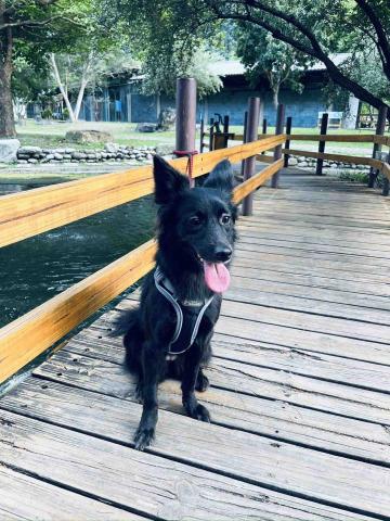 寵物保母Nancy - 旅遊散步～