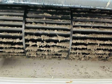 陳信欽 - 清洗前