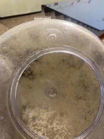 法蘭克病媒剋敏專家 - 