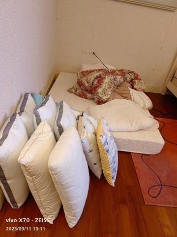 法蘭克病媒剋敏專家 - 