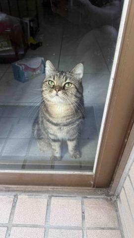 提供木材拋光服務的專家柒哩有限公司