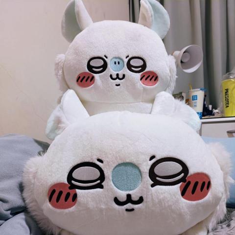 提供保姆服務的專家Red Andi