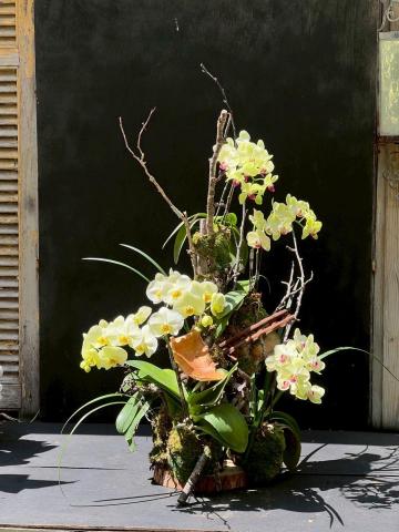 Bonnie  - 自然植生設計