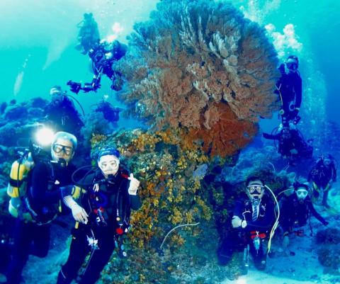 James Hsu - 水下潛水導覽