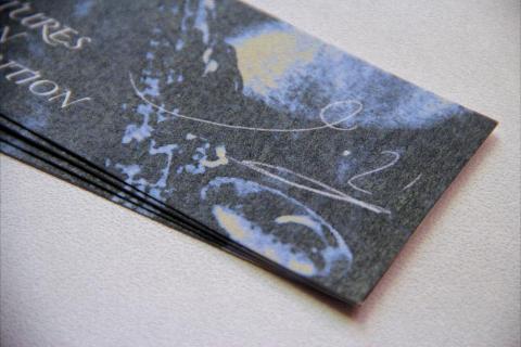 Zehan - Pictures at an Exhibition