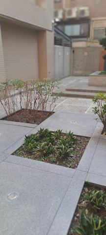 沈鏡明 - 這是社區大樓的公社花園