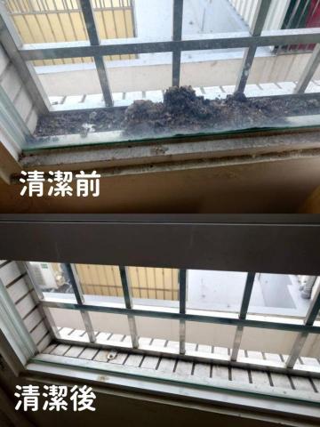 水美清潔工作室 - 窗台鳥大便清潔