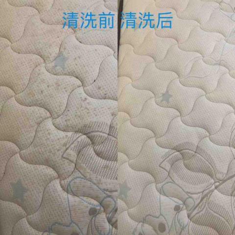 淨眠生活工作室 - 床墊發霉清洗