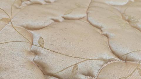 蟎布住 - 黴菌污漬處理