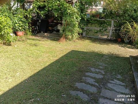 泡泡砍樹除草 - 