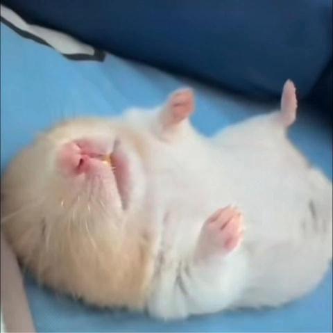 提供台中精機cnc服務的專家冠力冷氣空調行