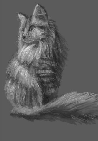 Ann&rsquo;s Studio｜素描・Procreate電繪 - 