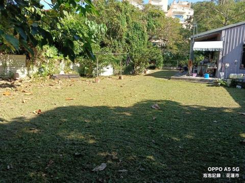 泡泡砍樹除草 - 