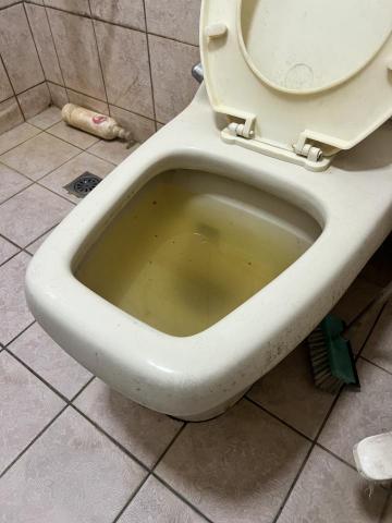 徐茂賢 - 簡易的通馬桶