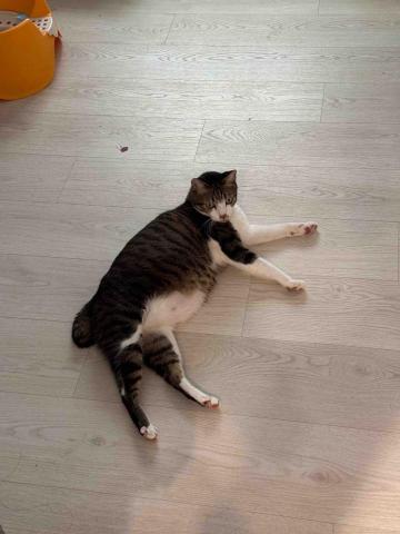 jean Lee - 安親寄宿