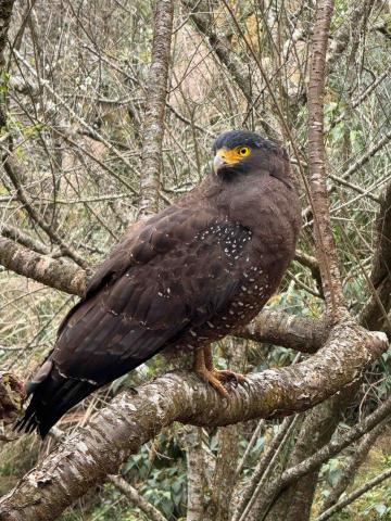 萬華園藝公司推薦蝸牛園藝社