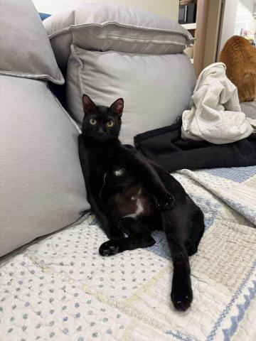 jean Lee - 到府照顧