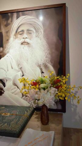 荷森綠植 - 室內週花