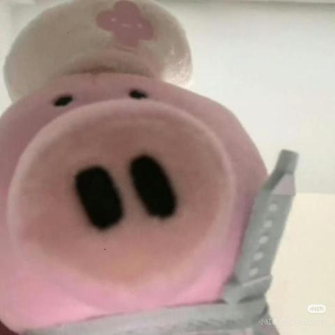 提供美髮剪刀服務的專家R