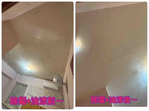 ꧁❧𝓥𝓲𝓥𝓲 ꨄ 天城 ☙ 油漆工程ꕥ清潔服務꧂ - 114年11月26日松山除霉油漆～